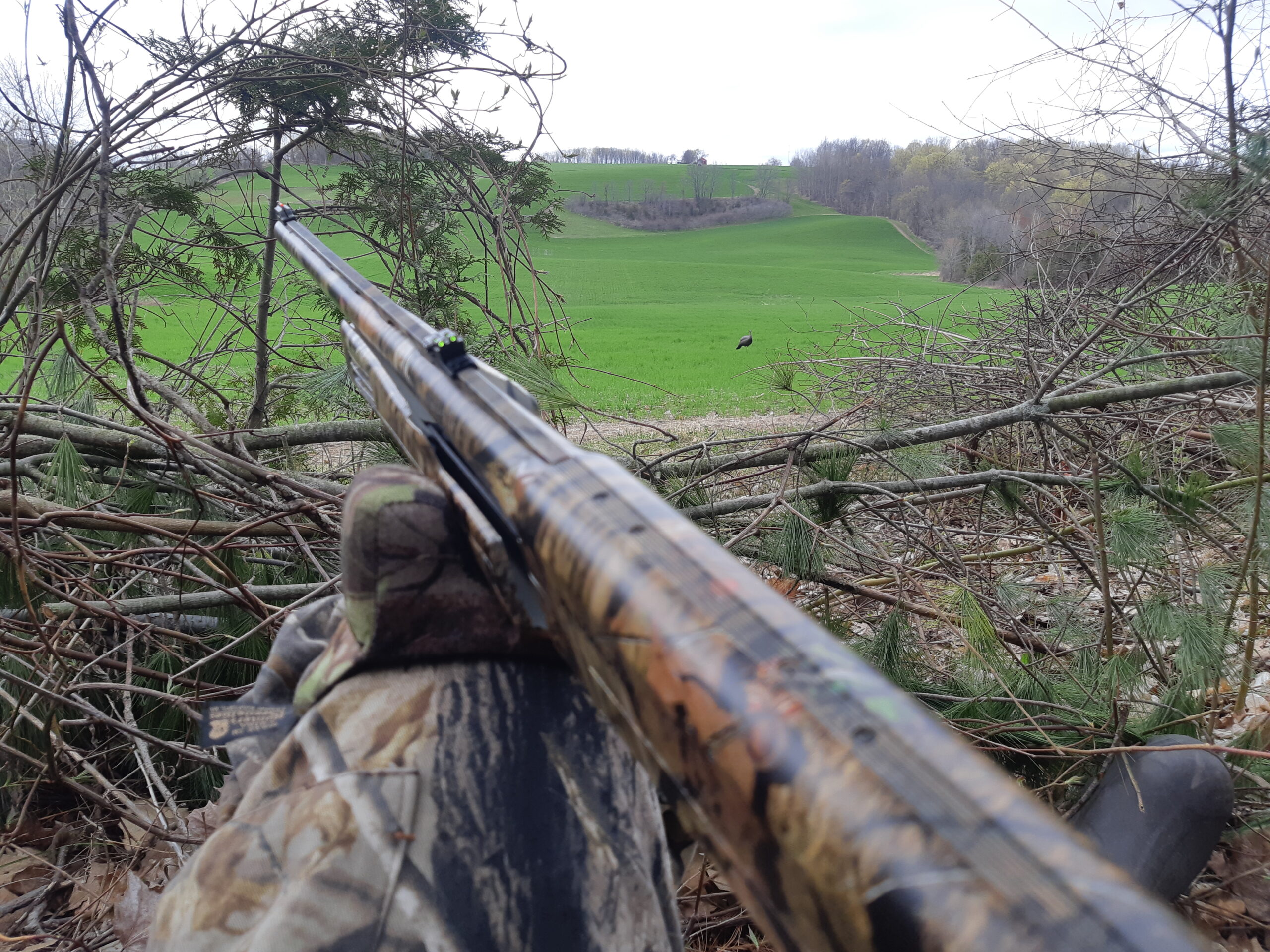 The importance of Sunday gun hunting in Ontario - OFAH Insider