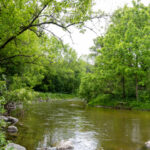 Creek in Ontario