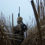 Waterfowl hunter in the cattails