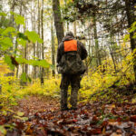 Hunter with compound bow walking through forest